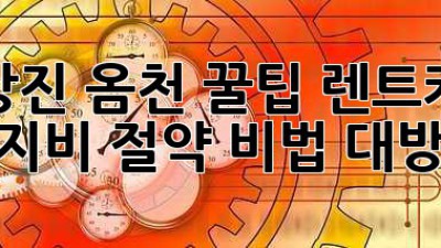 🚗 강진 옴천 꿀팁! 렌트카 유지비 절약 비법 대방출 🍯