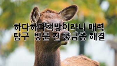 하다하다책방이라니📚 매력 탐구 & 방문 전 궁금증 해결💯